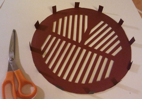 bahtinov mask circle cut