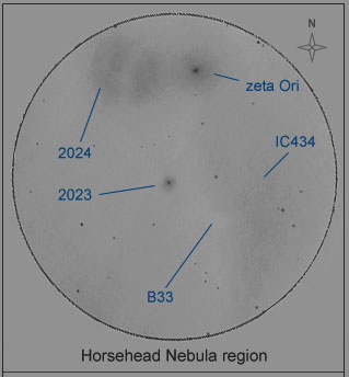 horsehead nebula region drawing