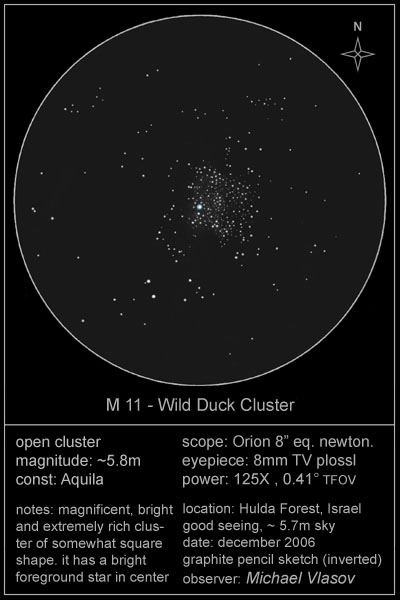 wild duck cluster sketch - m11