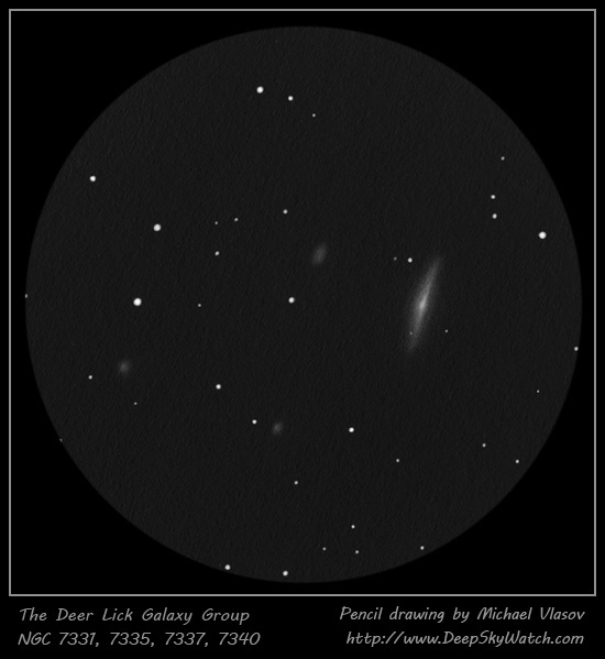 the deer lick galaxy group sketch - ngc 7331, 7335, 7337, 7340